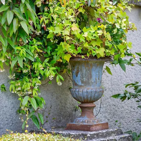 Appartement Rafael F2 Bourgeois Avec Jardin